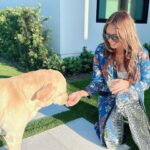 Yoanna House Instagram - Meet Maverick. What would the world be without dogs ❤️