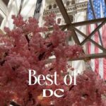 Yoanna House Instagram - Fabulous ❤️ Forever the company, the staff and,of course, the beautiful Washington, D.C.! Best Birthday and Vibes