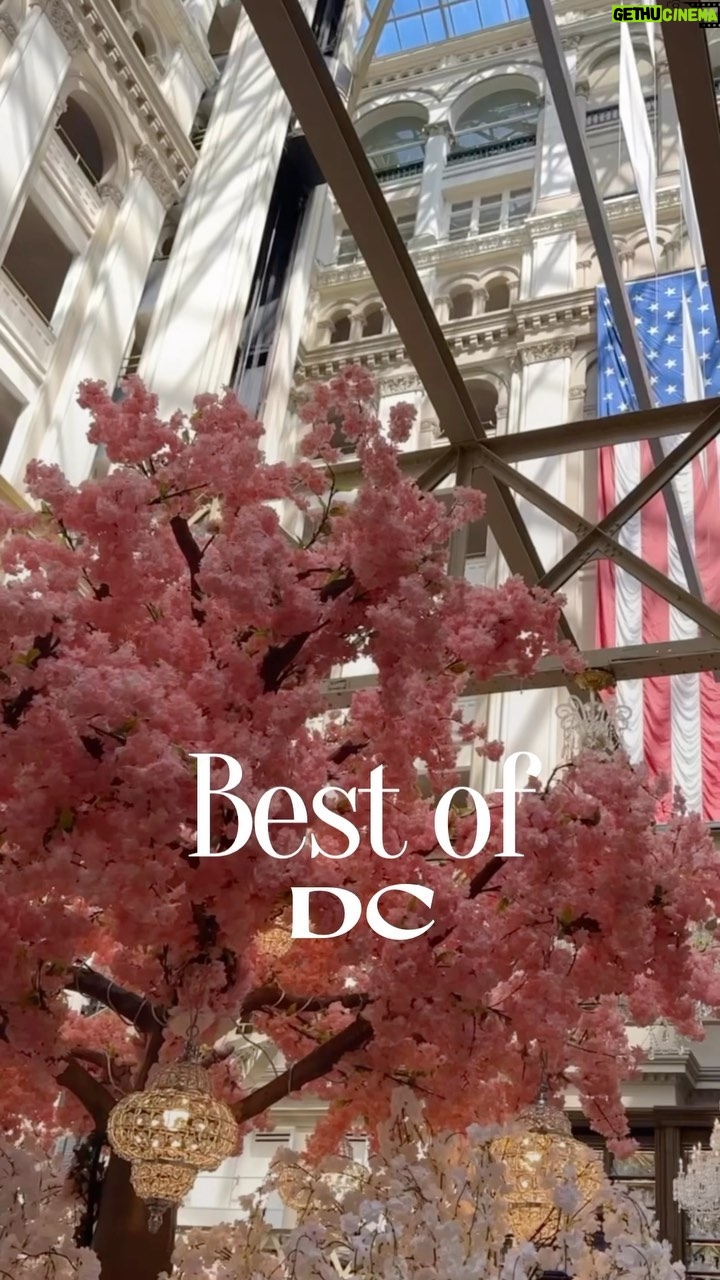 Yoanna House - 3 Likes - Fabulous ❤️ Forever the company, the staff and,of course, the beautiful Washington, D.C.! Best Birthday and Vibes