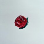 Yoko Maki Instagram – まだ全貌はお見せ出来ませんが、
勘の良い方はお分かりになると思います。
例のTシャツが近日発表❤️発売❤️