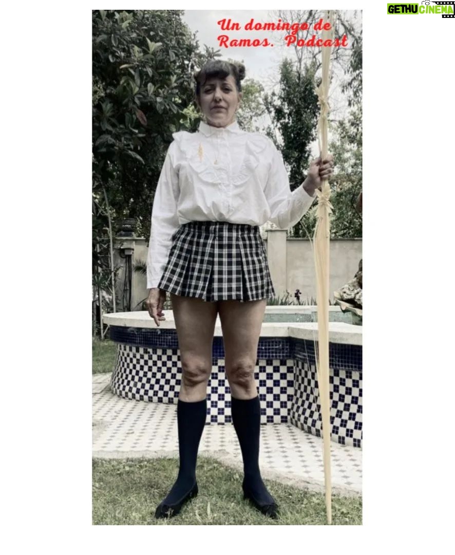 Yolanda Ramos - 9.4K Likes - Mi papá me ha comprado el palmón, estoy muy contenta y lo voy a bendecir cada domingo. #Netflix #podcast #Undomingoderamos
