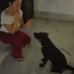 Yonca Şahinbaş Instagram – 🐾 @koraysahinbas ❤️