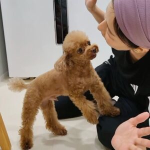 Yoon Se-a Instagram - #격한사랑
손 씻을 틈이 없다는…🔥♥️
대충…뭐…늘 입에 달고사는…
너무 사랑해서 미치고 환장하겠다는 
어미의 마음에 대하여…!!🤣
#뽀그리야🐶🐾의하루 #사랑해 #내사랑
