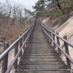 Yoon Se-a Instagram - #북한산 #백운대 와아…북한산 진짜 와아….!! 등산스틱 없인…우와아아…북한산…🤣 **첫 스틱 사용, 두번 미끄러짐의 교훈! 스틱고리를 팔목에 끼워두면 넘어질 때, 팔을 묶어두는 꼴! 미끄러질 때 바닥을 짚을 수 없어 크게 다칠 수 있습니다. 등산스틱은 어두운 색으로 구입하세요. 예쁜 라벤더 색상으로 벌써 🐝들이 모여듭니다. 하하하.😅 산길에 흘려져 있던 쓰레기를 집어드는 훌륭한 청년 승범군과 함께…세시간 반 남짓 산행 후 #백곰집 #수육 으로 피로를 풀어내며 오늘 하루도 잘 살았습니다. #행복하세아🍀 #산이좋다