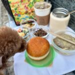 Yoon Se-a Instagram - 곧 또다시 오월… 날이 너무 좋아… 하이얀 떡국 끓이고 좋아하시는 반찬 조금 담아 아빠 보러 총총…🐾 너무 예쁜 햇살 아래, 화사한 꽃들이 활짝 피어나는 봄날, 아버지의 함박웃음을 느끼며 따뜻하고 편안한 마음으로 한참을 함께 했어요. 날이 좋으면 좋아서 날이 흐리면 흐려서 늘 그립습니다. 오늘도 사랑합니다. #행복하세아🍀