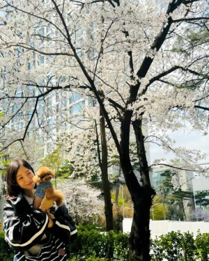 Yoon Se-a Instagram - 찰떡 콩떡. 요즘. 우리.
내일은 얼마나 더 이쁠꺼야…아. 설레. 😊
#뽀그리야🐶🐾의하루 
#벚꽃 그리고 #뽀그리야