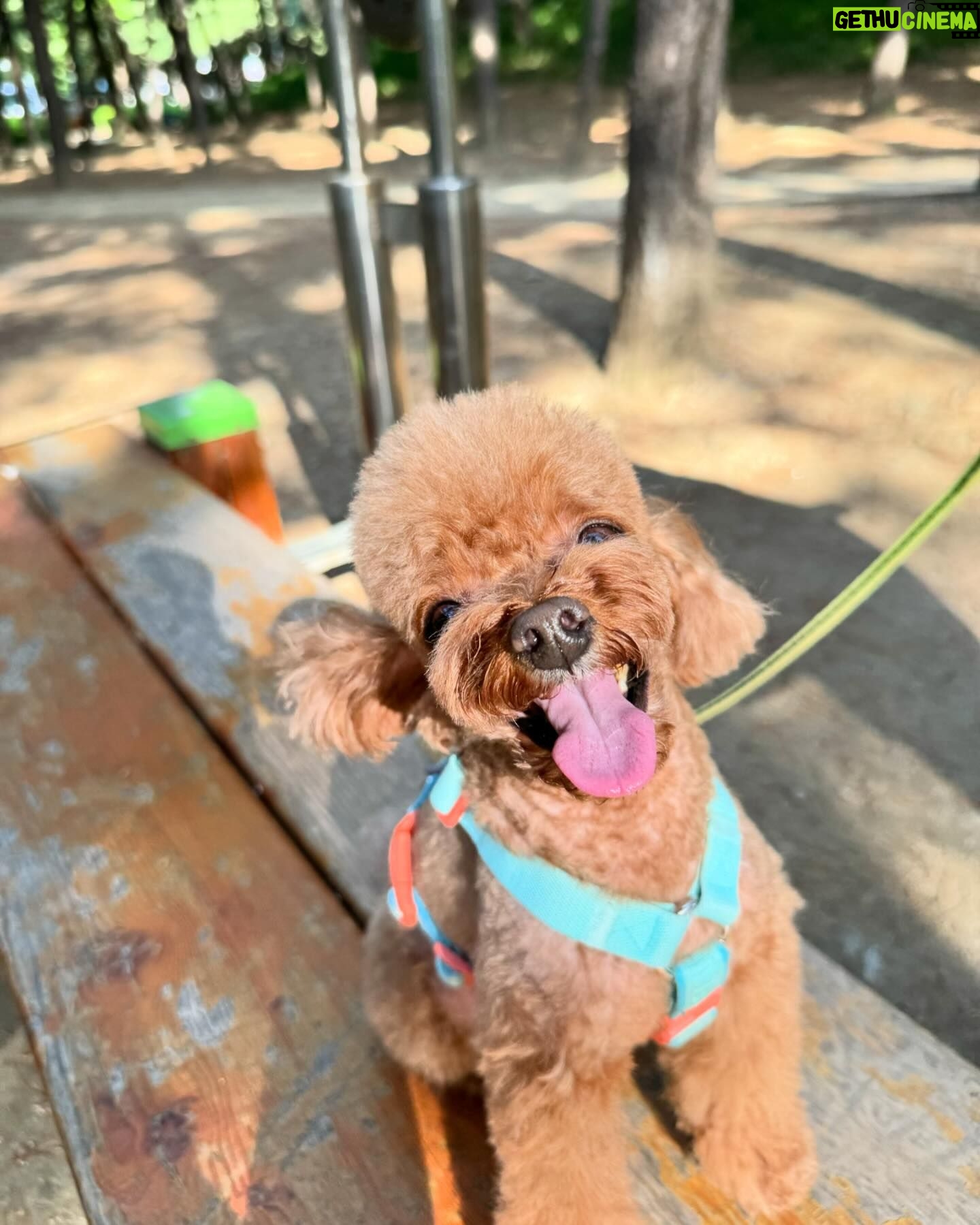 Yoon Se-a Instagram - #today #best #๐ธ ๋ฝ๊ทธ๋ฆฌ์ผ์ผโฆ!!! ์ข์ผ๋์โฆ!!! ๋ฝ๊ทธ๋ฆฌ์ผ ํจ๋ฐ์์์ ์จ ์ธ์์ด ๋์ด ๋ถ์
โฆ๐ #๋ฝ๊ทธ๋ฆฌ์ผ๐ถ๐พ์ํ๋ฃจ #๋์ฐ๊ณต์ #๋ด์ฌ๋ #โฅ๏ธ