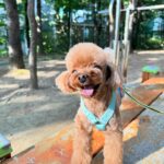 Yoon Se-a Instagram – #today #best #๐ธ
๋ฝ๊ทธ๋ฆฌ์ผ์ผโฆ!!! ์ข์ผ๋์โฆ!!!
๋ฝ๊ทธ๋ฆฌ์ผ ํจ๋ฐ์์์ ์จ ์ธ์์ด ๋์ด ๋ถ์
โฆ๐
#๋ฝ๊ทธ๋ฆฌ์ผ๐ถ๐พ์ํ๋ฃจ
#๋์ฐ๊ณต์
#๋ด์ฌ๋
#โฅ๏ธ