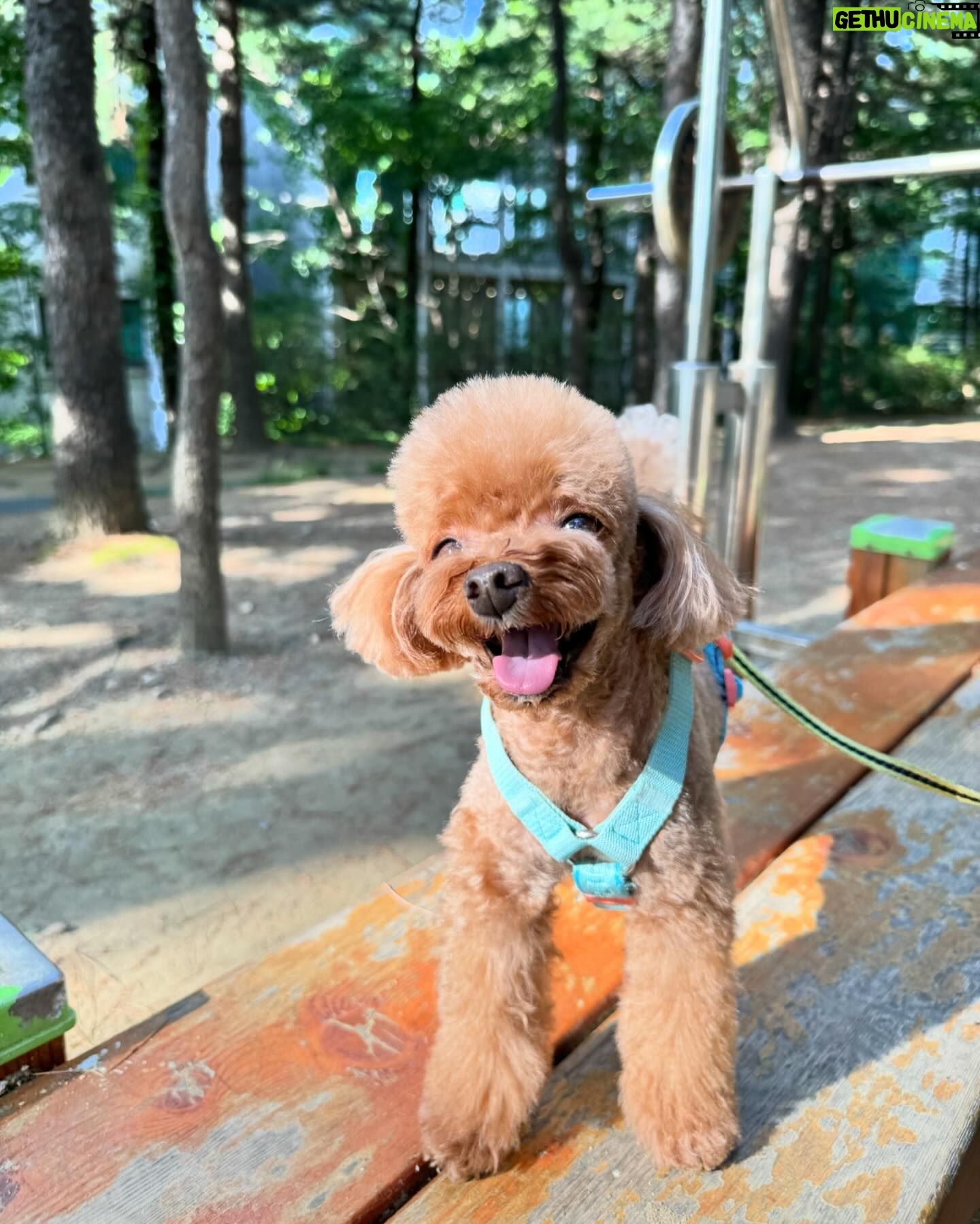 Yoon Se-a Instagram - #today #best #๐ธ ๋ฝ๊ทธ๋ฆฌ์ผ์ผโฆ!!! ์ข์ผ๋์โฆ!!! ๋ฝ๊ทธ๋ฆฌ์ผ ํจ๋ฐ์์์ ์จ ์ธ์์ด ๋์ด ๋ถ์
โฆ๐ #๋ฝ๊ทธ๋ฆฌ์ผ๐ถ๐พ์ํ๋ฃจ #๋์ฐ๊ณต์ #๋ด์ฌ๋ #โฅ๏ธ