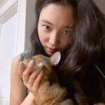 Yoon So-hee Instagram - 💚 #simba #cat #고양이 #굿나잇