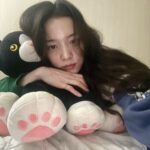 Yoon So-hee Instagram - 기숙사 고양이 🐈‍⬛ my dorm cat … 심바 보고싶다 I miss simba 😂 #cat 🐈‍⬛