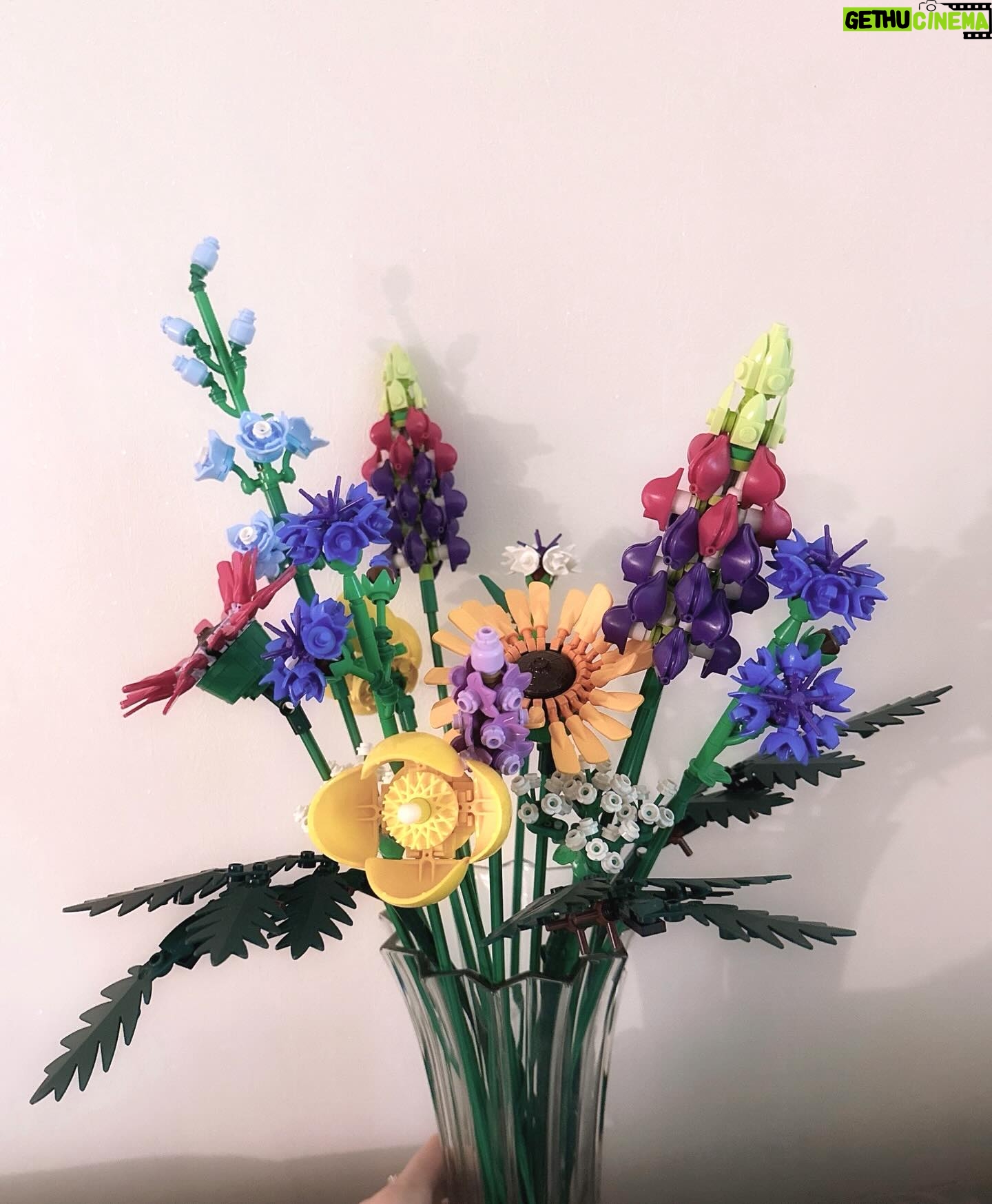 Yoon So-hee Instagram - 꽃꽂이 도와주실 분 💐 감사합니다 @legokorea_official . Someone help me arrange these😅 #lego #레고 #꽃레고