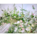 Yoshino Nanjo Instagram - The Fantasic Garden オフショット ジャケ写の音符たちも、CGではなくなんとオリジナルで作ってくださってます〜！ 大きな透明な傘も！ メチャクチャ重たくて、撮影は上から吊り下げて撮っていました〜！ 透明なオブジェクトたちと、お花のコントラストがめちゃくちゃ可愛かった〜〜〜