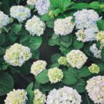 Yu Han Lien Instagram - 實在太心疼受害者了 不要再跟加害者說加油了 加害者為什麼需要加油 他們要做什麼傷害他人的事情 都直接去做了 犯罪後卻依然擁有那些同理與加油 對受害者來說是多麼內傷又讓人懷疑世界 善良放對地方 同理給對對象 不要鄉愿的為加害者找理由 從去年到今年以來這麼多新聞 真的都讓人覺得好難過 請站在受害人這邊 給他們力量 他們很勇敢 他們沒做錯任何事 對他們說加油 跟他們打氣才對 同理心請放在這裏