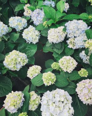 Yu Han Lien Instagram - 實在太心疼受害者了
不要再跟加害者說加油了
加害者為什麼需要加油
他們要做什麼傷害他人的事情
都直接去做了
犯罪後卻依然擁有那些同理與加油
對受害者來說是多麼內傷又讓人懷疑世界
善良放對地方
同理給對對象
不要鄉愿的為加害者找理由
從去年到今年以來這麼多新聞
真的都讓人覺得好難過
請站在受害人這邊
給他們力量
他們很勇敢
他們沒做錯任何事
對他們說加油
跟他們打氣才對
同理心請放在這裏