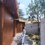 Yu Seon Instagram - 집에 오니..더 생각나는 아침.. 창가에 그림같던 초록 풍경과 새 소리.. 마치 외국에 온 것 같은.. 그런데 너무나 집처럼 편안하고 깨끗했던.. 진짜 편안한 쉼을 느끼고 온 곳.. 이번 여행이 더 행복했던 이유♡ 공간이 이쁘니 사진들도 이쁘고.. 오픈 이벤트 중이라.. 소개하고픈 마음에 올려봅니다! ^^ 저는 가족 지인가족과 함께 한 2박 동안은.. ㄱ동 ㄴ동 두개를 이용했어요! 수영장과 자쿠지 바베큐 불멍 편백사우나를 즐겼구요. 친구와 함께 한 여자 둘 만의 시간은.. 원래 가기로 한 곳이 있었는데, 다른 룸도 가 보고 싶어서 취소하고..ㄷ동에 묵었어요^^ 아침에 야외테이블에서의 로맨틱한 조식은 너무 기억에 남네요ㅎㅎ 다가오는 여름.. 한번 더 오고싶은 곳!! ♡♡ #제주서가 @jeju_seoga