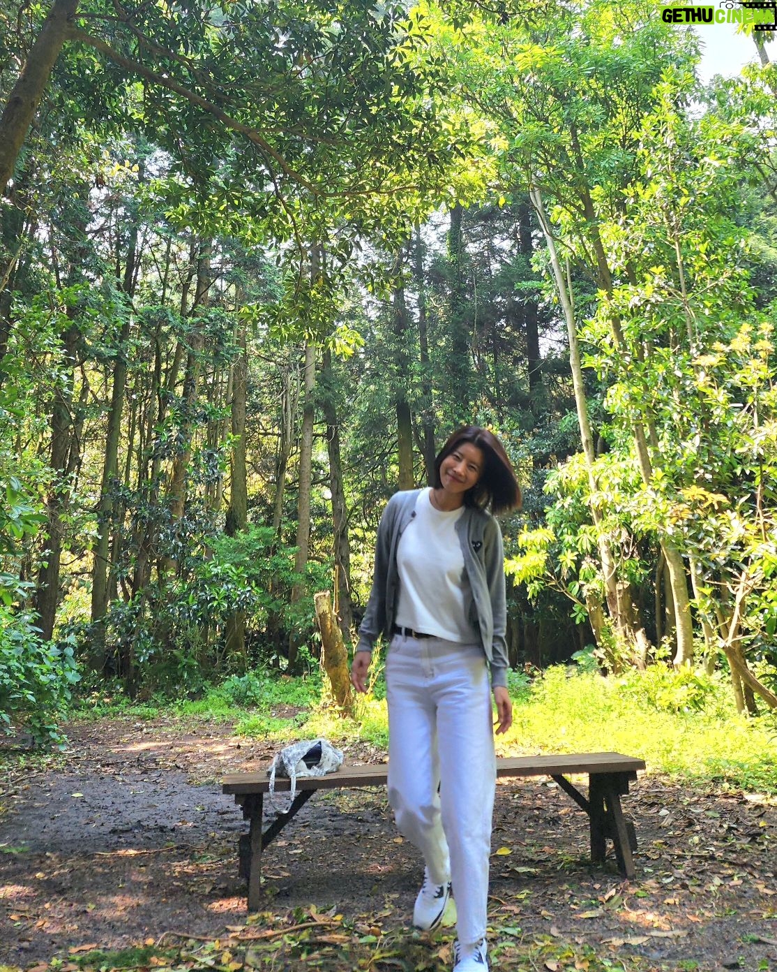 Yu Seon Instagram - 그래.. 난 바다 보다는.. 초록에 더 신나는 사람 🌴🌿 꼭 와 보고 싶었던.. #안돌오름