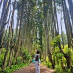Yu Seon Instagram - 그래.. 난 바다 보다는.. 초록에 더 신나는 사람 🌴🌿 꼭 와 보고 싶었던.. #안돌오름