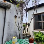 Yu Seon Instagram - 가보고 싶었던 곳 가 보기!! 역시.. 좋다!! 🌴 #명랑스낵 #잔물결