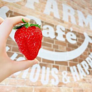 Yui Horie Instagram - .
とても美味しくて可愛いいちごでした🍓
いちご狩りは本当に楽しいです！

アットファームさんありがとうございました！