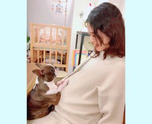 Yui Tatsumi Instagram - 今日は、みぃなな家で新年会♡
すき焼きだーい🍲
こじさんがうさぎ🐰のカチューシャ持ってきてくれたよー♪
卯年って感じでかわいい🐰💕

まったり楽しかった✨✨

最後にみぃななと梅子のかわいい写真を😍
幸せになる写真ですねぇ💛

もうすぐ、ベビたんが産まれると思うと今からドキドキワクワク♡
元気なベビたん産んでねーー♪

母子ともに健康でありますように♡
ベビたんに会えるの楽しみにしてる♡♡