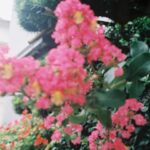 Yui Sakuma Instagram – 💞🐒