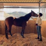 Yui Sakuma Instagram – 👖🐎🥕

@uniqlo_jp のcmに出演しております。