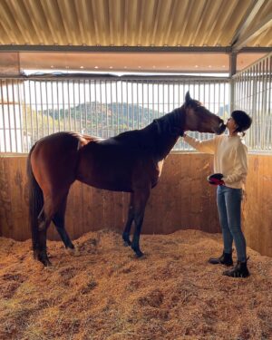 Yui Sakuma Instagram - 👖🐎🥕

@uniqlo_jp のcmに出演しております。