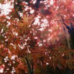 Yui Sakuma Instagram – 🍁✴️🍁✴️🍁
