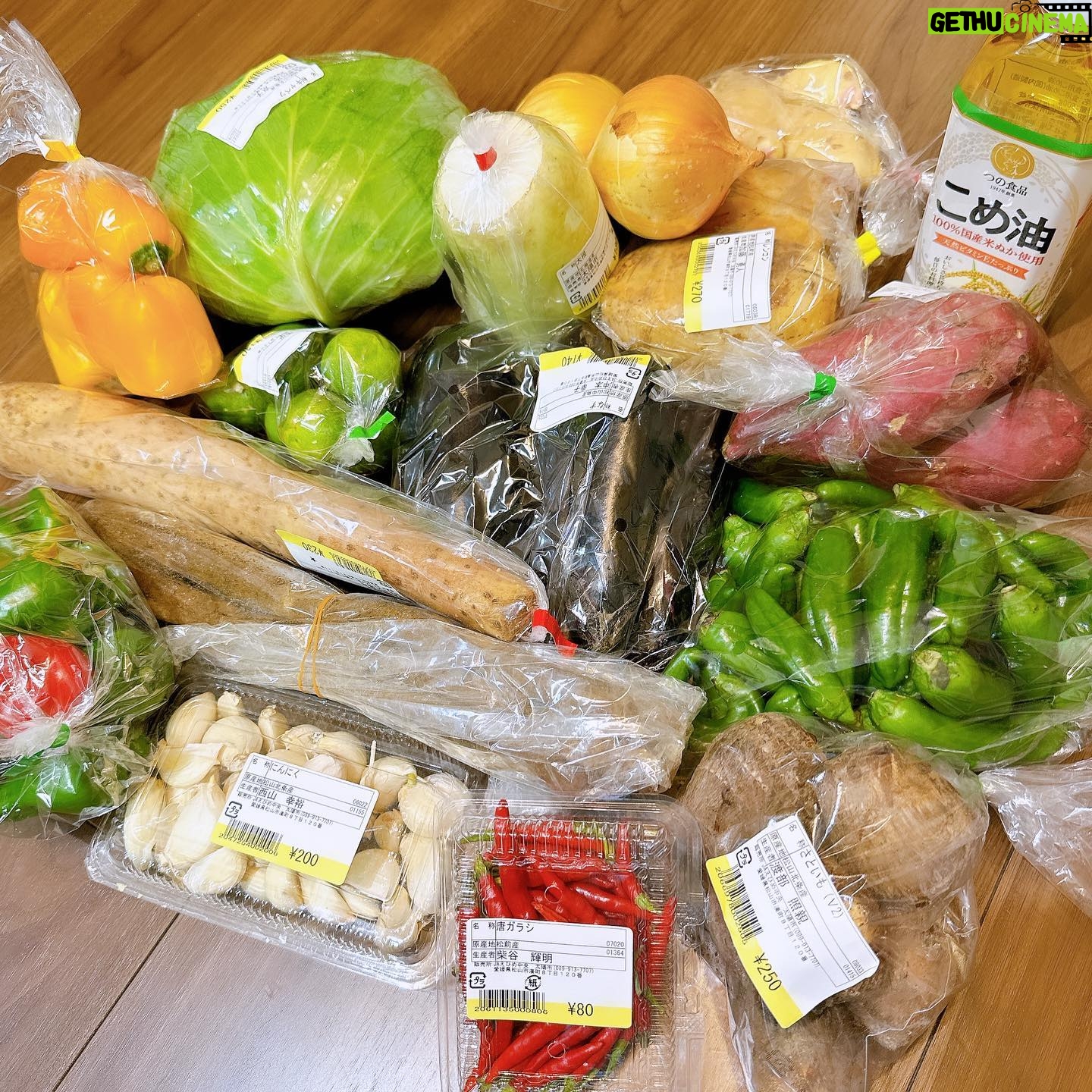 Yuka Masuda - 1.1K Likes - *
母から愛媛の市場で買ったと思われる大量のお野菜が届きました笑
ここのお野菜美味しいの知ってるけど、わたしのこと大家族のおかんと思ってる?👪👪w
多すぎだろ!!!って声でました。
野菜に追われる日々がはじまります…笑笑
保存できるやつは下処理して冷凍だな!!
#根菜類の多さ #なにつくろう