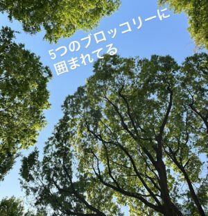 Yuka Masuda Instagram - ＊

今日は早朝から稽古場での最終通し！
そのあとにせりせりに誘ってもらって近くの公園で日光浴。
せりせりおすすめのケバブやさんでボリューム満点のチーズケバブを食べながら🥙
ぐーたらあれやこれやのんび〜り喋りながら突然静かになったせりせり。
ん？って横見たら  寝てましたw w w赤ちゃんかぁw w w
そんで私も目を閉じたらまんまと寝ちゃいましたw2体の赤ちゃん👶🏻w w w

明日も会えるし今日もずっといたのに名残惜しいねぇってせりせりの帰り道にそっと着いていってたら、
ゆかちゃんこっちじゃないよね？帰りなよwって笑笑笑

着いていってたのバレたぁ⭐️←

ということであと3日で初日です。
わー、なんとも言えない不思議な気持ち。
今日たっぷり太陽浴びたので元気満タン！頑張るぞおおおお！

初日ありがたいことに完売！他公演残り1〜2席の回もあり、お席全体的に少なくなってきております。迷われてる方お早めに〜🌸
ストーリーズのハイライトにチケット残席情報、リンク🔗貼ってます！

・
・
・
#朝劇 #朝日に願え #やまうちせりな #せりせり #日光浴 #葉桜 #お花見