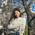 Yuka Ogura Instagram - 東京は桜が満開🌸 #東京桜 #櫻花 #イタグレ @iggy_lili