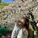 Yuka Ogura Instagram - 東京は桜が満開🌸 #東京桜 #櫻花 #イタグレ @iggy_lili