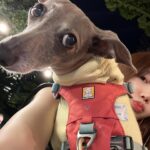 Yuka Ogura Instagram – 夏始まった？