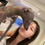 Yuka Ogura Instagram - りり様 ブレずにあなたを撮るのは大変です… #寝ている時がチャンス #小倉ゆうか #イタグレ