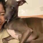 Yuka Ogura Instagram - りり様 ブレずにあなたを撮るのは大変です… #寝ている時がチャンス #小倉ゆうか #イタグレ