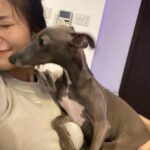 Yuka Ogura Instagram - りり様 ブレずにあなたを撮るのは大変です… #寝ている時がチャンス #小倉ゆうか #イタグレ