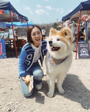 Yukari Taki Instagram - 🐕🇯🇵🐕🇯🇵🐕
#ZIPANG2024
@zipangdog 

#日本犬の祭典 #日本犬 #和犬
