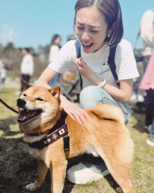Yukari Taki Instagram - 🐕🇯🇵🐕🇯🇵🐕
#ZIPANG2024
@zipangdog 

#日本犬の祭典 #日本犬 #和犬