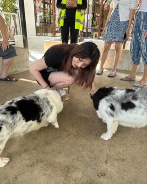 Yuki Kamifuku Instagram - -
best place in Thailand🐾
世界で1番大切な嫁や彼女が居てもキャバクラに行く男の気持ちが少しだけ理解できたかも知れない。
若くて可愛くて元気なイッヌはお金を払ってでも会いたいしモフモフしたいしオヤツねだられたら買っちゃうよね。
#zacごめん