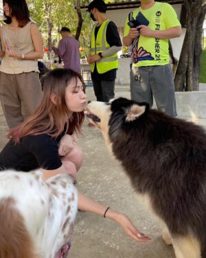 Yuki Kamifuku Instagram - -
best place in Thailand🐾
世界で1番大切な嫁や彼女が居てもキャバクラに行く男の気持ちが少しだけ理解できたかも知れない。
若くて可愛くて元気なイッヌはお金を払ってでも会いたいしモフモフしたいしオヤツねだられたら買っちゃうよね。
#zacごめん