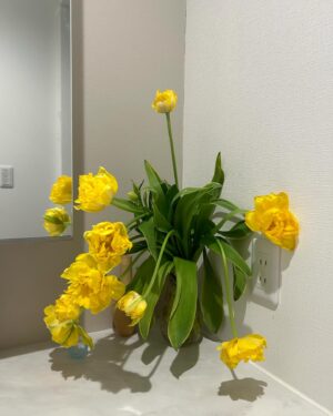 Yuki Mihara Instagram - 🌼💐🌷👶🏠🌿💐🌼🌱
チューリップとミモザの季節♡