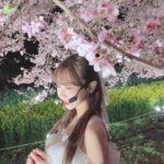 Yuki Kashiwagi Instagram – ༝༚┈❁┈༚༝

CDTVライブ！ライブ！
お昼も夜も桜がとっても綺麗でした☺️🌸

#桜　#夜桜
