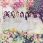 Yuki Kashiwagi Instagram - ✎𓂃 私が参加する最後のAKB48のシングル💿 【カラコンウインク】 ジャケット写真が公開されました☺️💐 念願の初！単独センター！！ THEアイドル、これぞAKB48！といえるような 素敵な曲を最後に歌うことができて本当に幸せです🫧 AKBの公式YouTubeチャンネルにて MVも公開されてますのでぜひご覧ください💐 #AKB48 #カラコンウインク