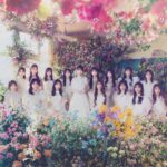 Yuki Kashiwagi Instagram - ✎𓂃 私が参加する最後のAKB48のシングル💿 【カラコンウインク】 ジャケット写真が公開されました☺️💐 念願の初！単独センター！！ THEアイドル、これぞAKB48！といえるような 素敵な曲を最後に歌うことができて本当に幸せです🫧 AKBの公式YouTubeチャンネルにて MVも公開されてますのでぜひご覧ください💐 #AKB48 #カラコンウインク