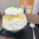 Yuki Kashiwagi Instagram - 𓂃◌𓈒𓐍 寒くなってきても積極的にかき氷を 食べにいこうと思っている今日この頃です☺️🍧 青りんごのブラムリー🍏を使ったかき氷が 本当に美味しかった〜🫶