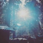 Yuki Sakurai Instagram - 皆さん、今年も一年ありがとうございました。 たくさんの変化と、学びの年でした。 一言では言い表せないこの一年を、ネガティブなものだけにせずここからの一年一年が温かな年へとなる事を願っています。 こうして作品などを見てくださる方達に支えられているように、皆さまの元気の源に少しでもなれるよう、来年も精進します。 そしていつも温かなコメントをありがとうございます。毎回、大切に読ませて頂いています。 皆さま、良い年末年始をお過ごしください。 桜井は年越し蕎麦にたどり着く前に食べ過ぎてお腹がパンパンです。 　　　　　　　　　　　　　　　　　　桜井