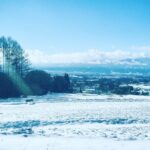 Yuki Sakurai Instagram - 皆様こんにちは。 先日の発表から、たくさんのお祝い、応援のお言葉を頂きまして、本当に嬉しく、有り難い限りです。 コメント、読ませて頂いております。 これからも、皆様の日々の楽しみに少しでも参加できるよう、わたしも楽しんでお仕事頑張りたいと思います。 先日の自転車爆走はマネージャーさんに止められたので叶わずでした。 なので今日あたり繰り出します 今日も寒いですね。 肩甲骨の間にホッカイロ貼ると、全身あたたまりますよ。 っていうプチ桜井情報 　　　　　　　　　　　　　　　　　　　　　桜井
