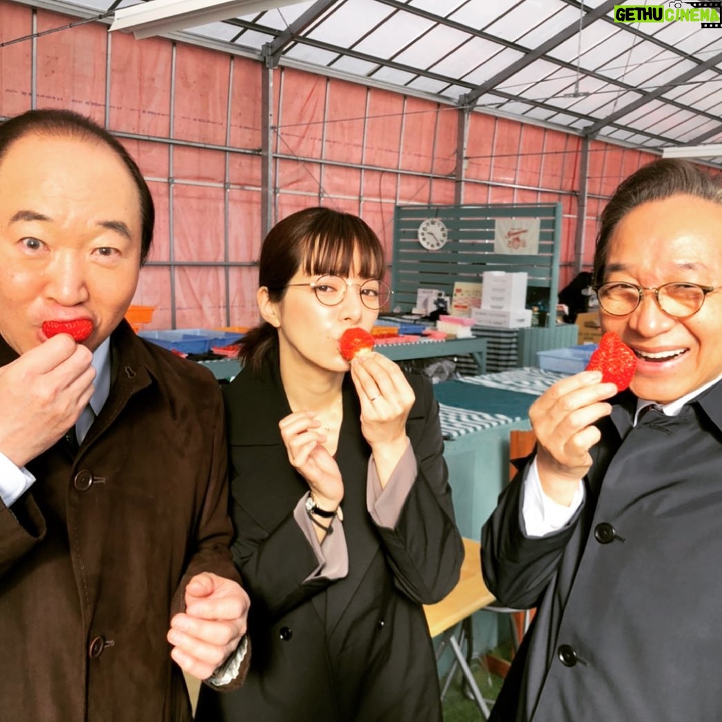 Yuki Sakurai - 16.4K Likes - ハッ
前回の更新から気付いたらこんなに経っていたんですね。
皆様お元気でしょうか。桜井はモリモリ元気です。
イチケイのカラスもリコハイも観てくださってありがとうございます。
イチケイの良い写真があったのでこちらを。
大先輩のお二人と苺を頬張りました。
の巻
とか言ってたらお腹すいたので桜井は今から苺アイス食べます。
皆様、良い夜をお過ごし下さい。
桜井