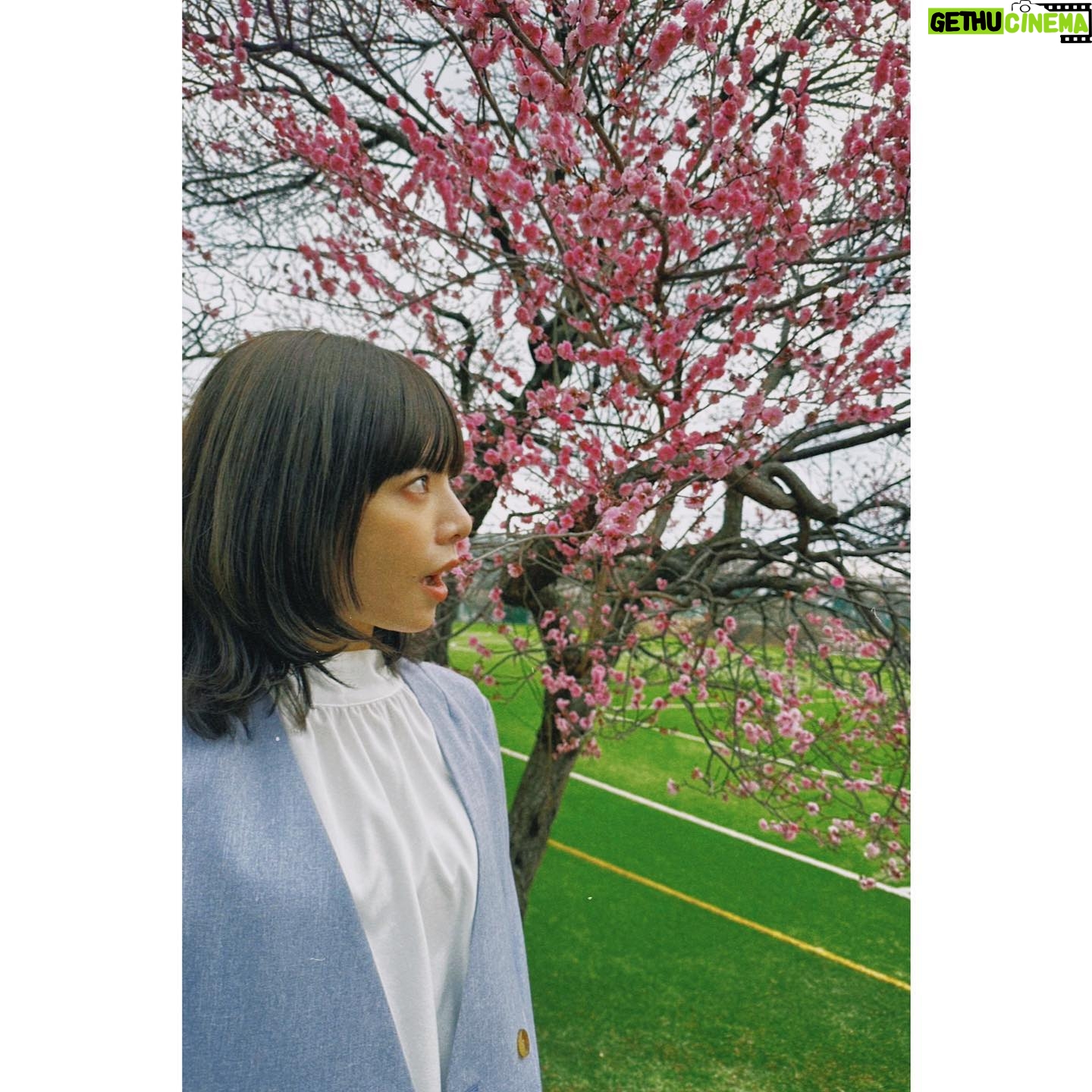 Yuki Sakurai - 18.7K Likes - 皆様こんばんは。
いやあ、飛んでますね、粉が
散々苦しむ方達を横目に「いやあ、わたしは大丈夫ですね」ドヤ顔でそう言い続けたのも束の間
二日前に爆発しました
そしてそして
4月スタートのフジテレビ系ドラマ「ホスト相続しちゃいました」(火曜・夜11時)に出演させていただく事になりました。
日々楽しく撮影しております。
雨にも風にも花の粉にも負けず皆様に楽しんでもらえるドラマになりますよう皆んなで頑張ります
是非観てください
むっちゃ鼻声だったら笑ってください
桜井